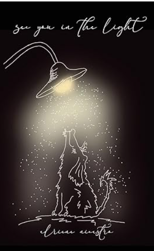 see you in the light by Adriene Nicastro